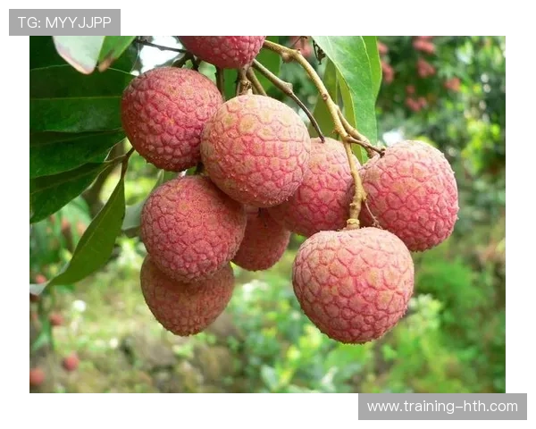 外国足球巨星精彩瞬间全集 回顾世界足坛传奇人物的辉煌足迹 外国足球巨星精彩瞬间全集 回顾世界足坛传奇人物的辉煌足迹